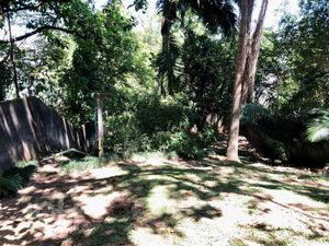 Image 47 - 831804