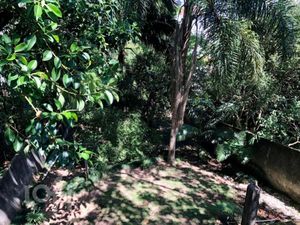 Image 21 - 831804