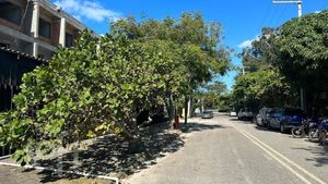Image 3 - 831883