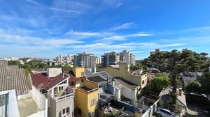 Image 60 - 832033