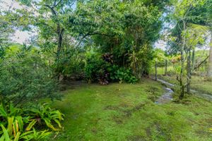 Image 27 - 832898