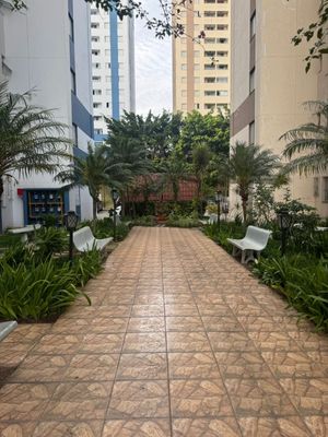 Image 8 - 833191