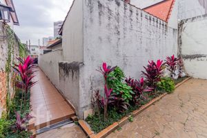Image 36 - 833617