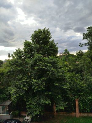 Image 9 - 834099