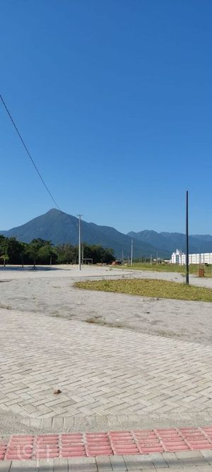 Image 34 - 834475