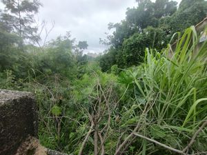 Image 4 - 834696