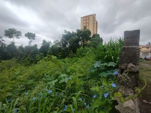 Image 3 - 834696