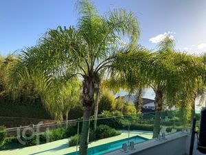 Image 13 - 834747