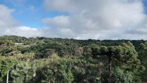 Image 14 - 835226