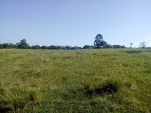 Image 2 - 835561