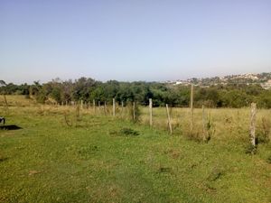 Image 5 - 835561