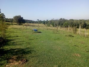 Image 3 - 835561