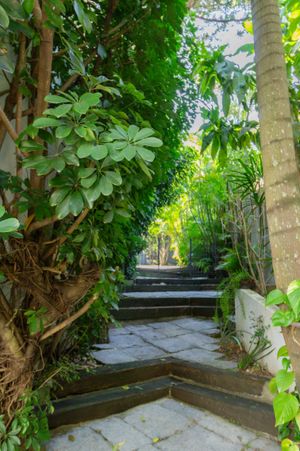 Image 86 - 835643