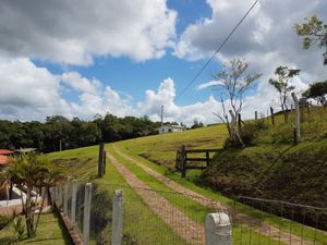 Image 10 - 835823