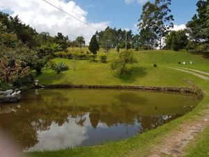 Image 24 - 835823