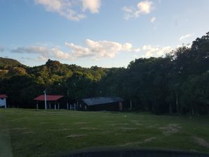 Image 14 - 835823
