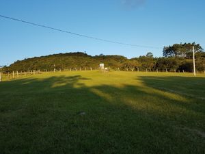 Image 17 - 835823