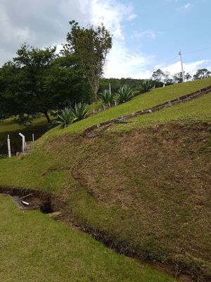 Image 31 - 835823