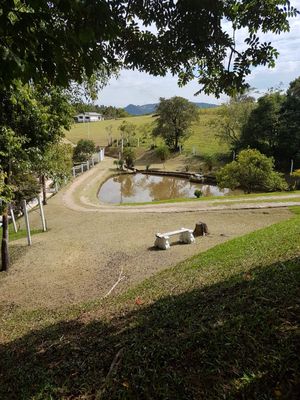 Image 29 - 835823