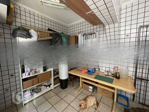 Image 25 - 836383