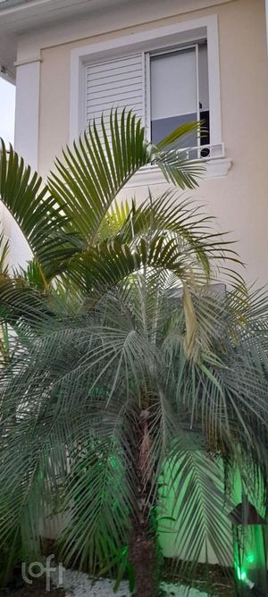 Image 53 - 836425