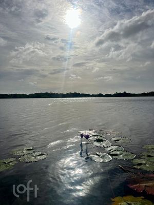 Image 43 - 837528
