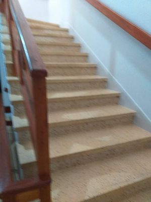 Image 19 - 838510