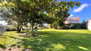 Image 23 - 839579
