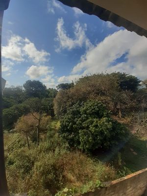 Image 12 - 840673