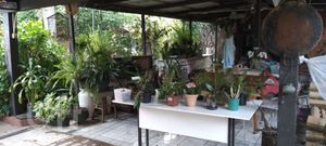 Image 9 - 840847