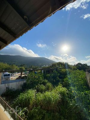 Image 10 - 841332