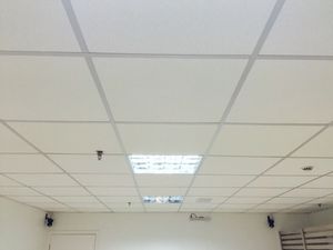 Image 13 - 841354