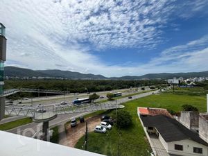 Image 14 - 842387