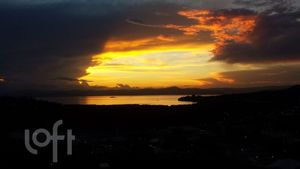 Image 6 - 842487