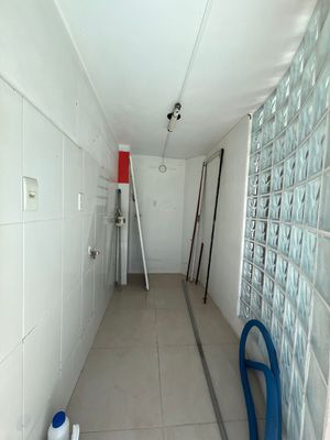 Image 31 - 842565