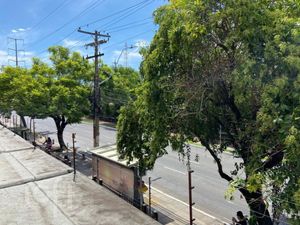 Image 9 - 842566