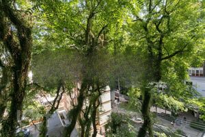 Image 41 - 842787