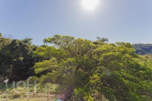 Image 13 - 843260