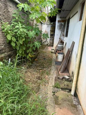 Image 26 - 844527