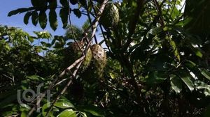 Image 12 - 844561