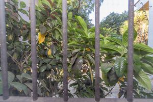 Image 16 - 845053