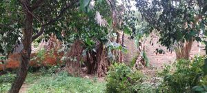 Image 6 - 845081