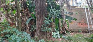 Image 2 - 845081