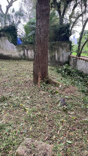 Image 5 - 845177