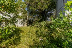 Image 17 - 845177