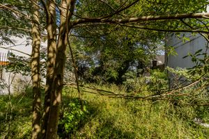 Image 19 - 845177