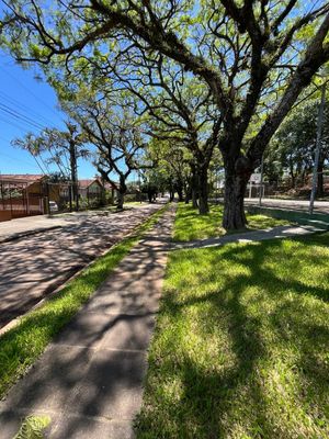 Image 13 - 845336