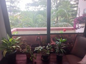 Image 9 - 845380