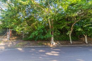 Image 41 - 845413