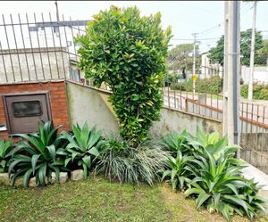 Image 35 - 845436